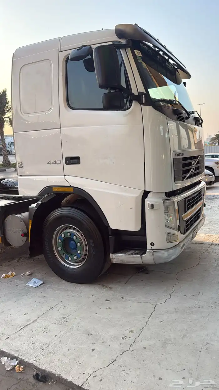 فلفو 2013 الزاهد 0