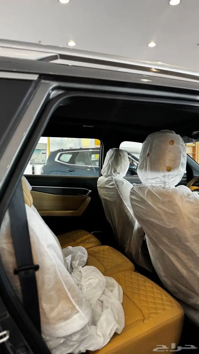 جيلي اوكافانجو بسعر مميز وحصري للكاش 3