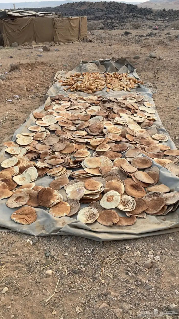 خبز ناشف مخلوط 6