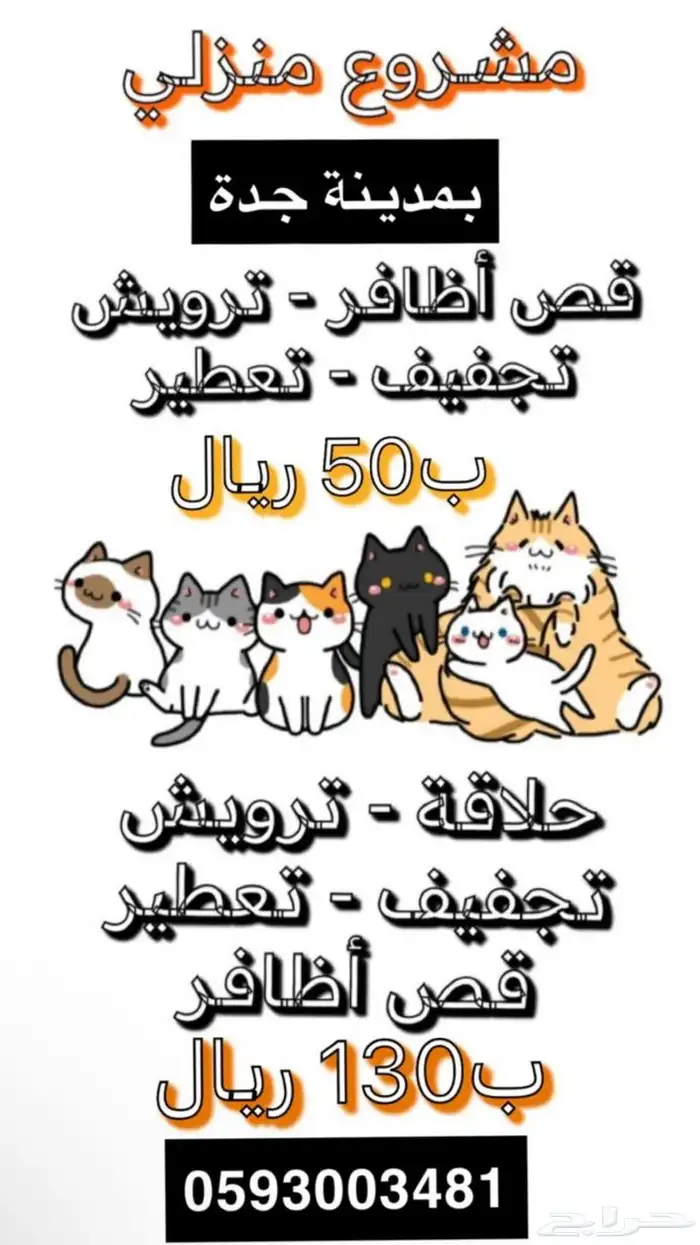 خدمة العناية بالقطط 0