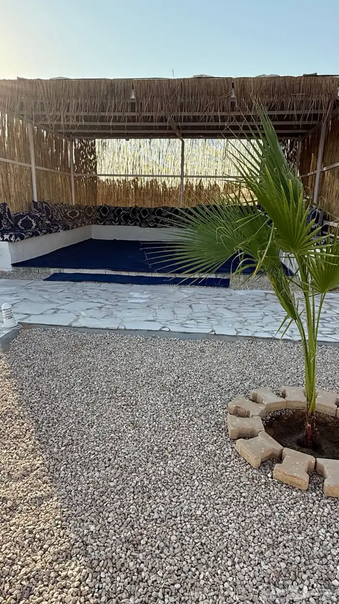 مخيم توق للايجار ( رماح ) 3