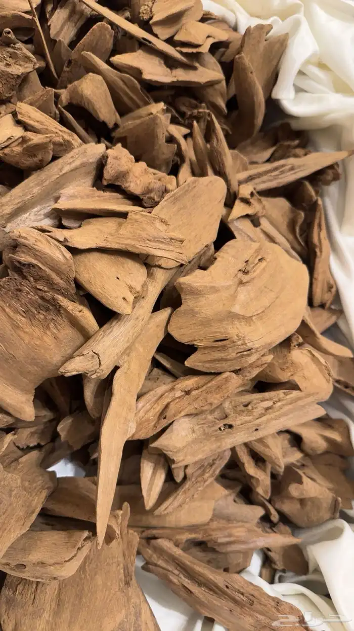 عود مروكي اصقون تربل ودبل لمحبي النكهة المروكيه القديمه 1