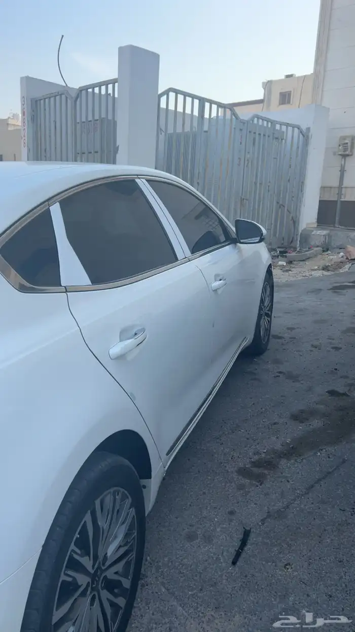 كادنزا 2021 ستاندر 3 5 1