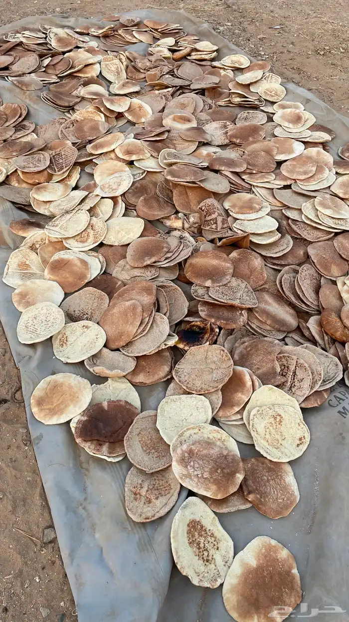 خبز ناشف مخلوط 5