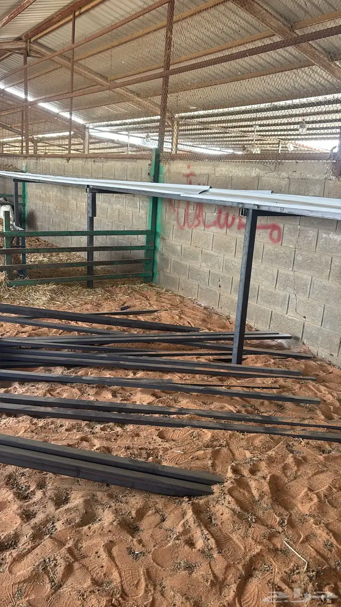 حوش غنم للتقبيل سوق الجربوع 8