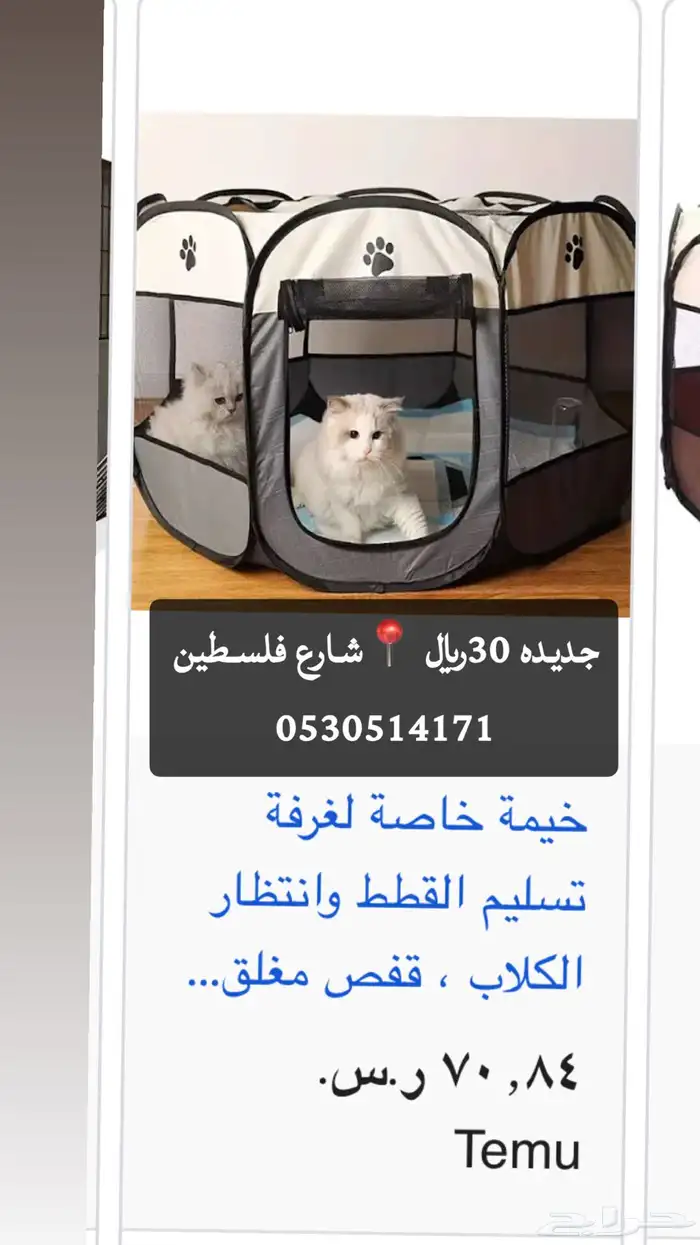 خداشه قطط جديده للبيع المستعجل120 4