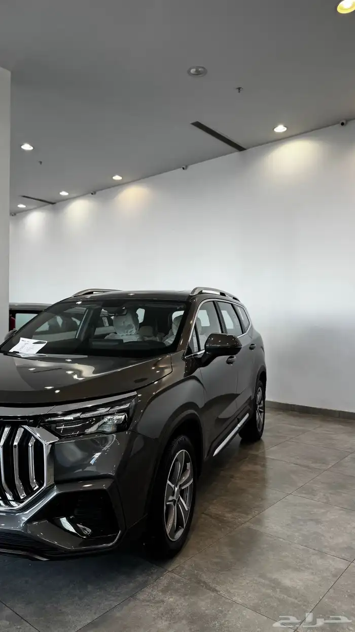 جيلي اوكافانجو بسعر مميز وحصري للكاش 1