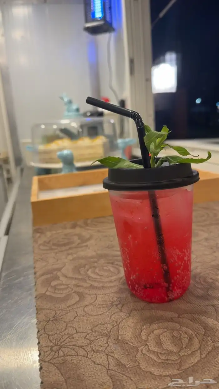 فود تراك حاهز للعمل للبيع 2