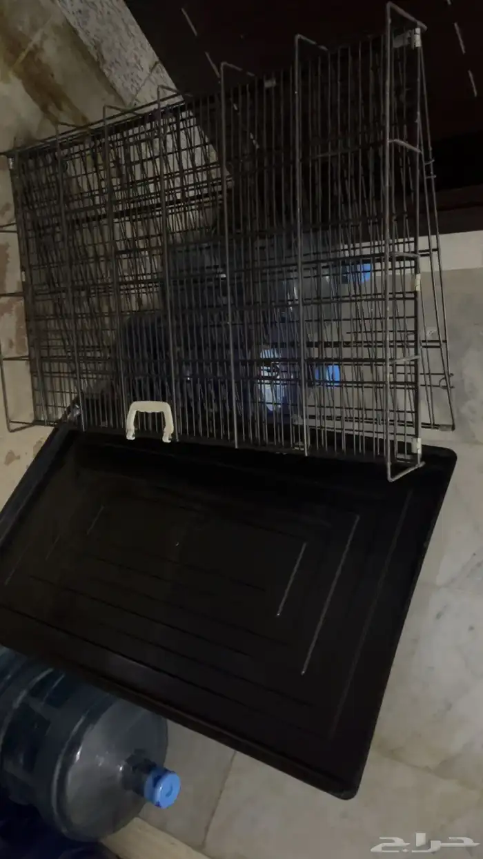 قفص قطط 0