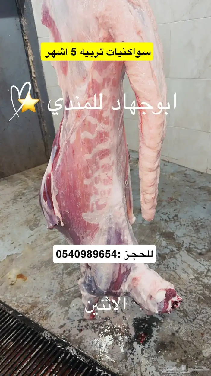 سواكنيات تربيه 5 اشهر شامل ذبح وتوصيل 1