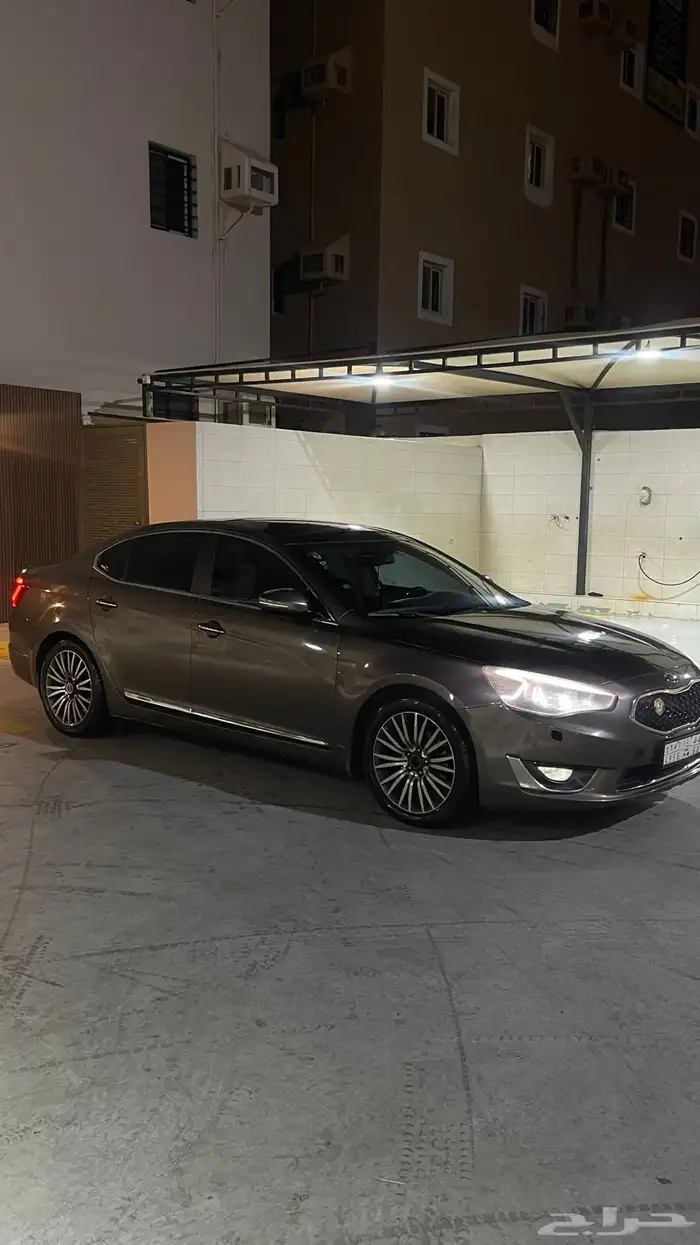 كادينزا 2014 فل كامل 19