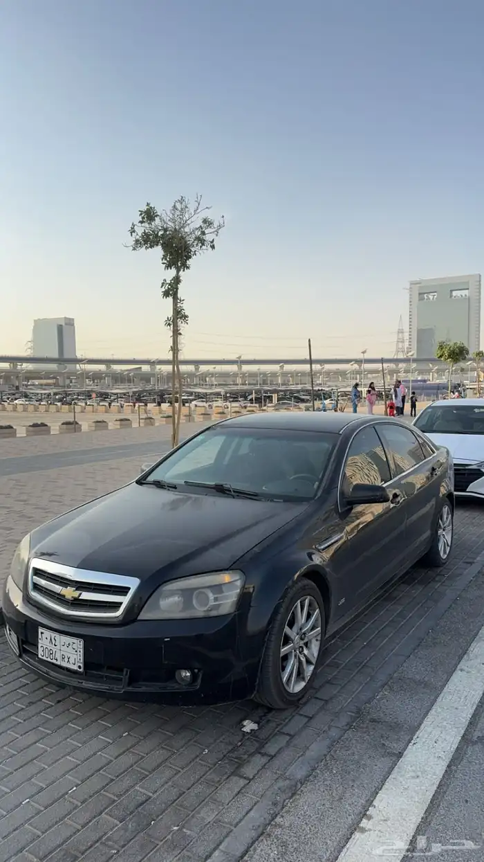 كابرس 2014 للبيع 13