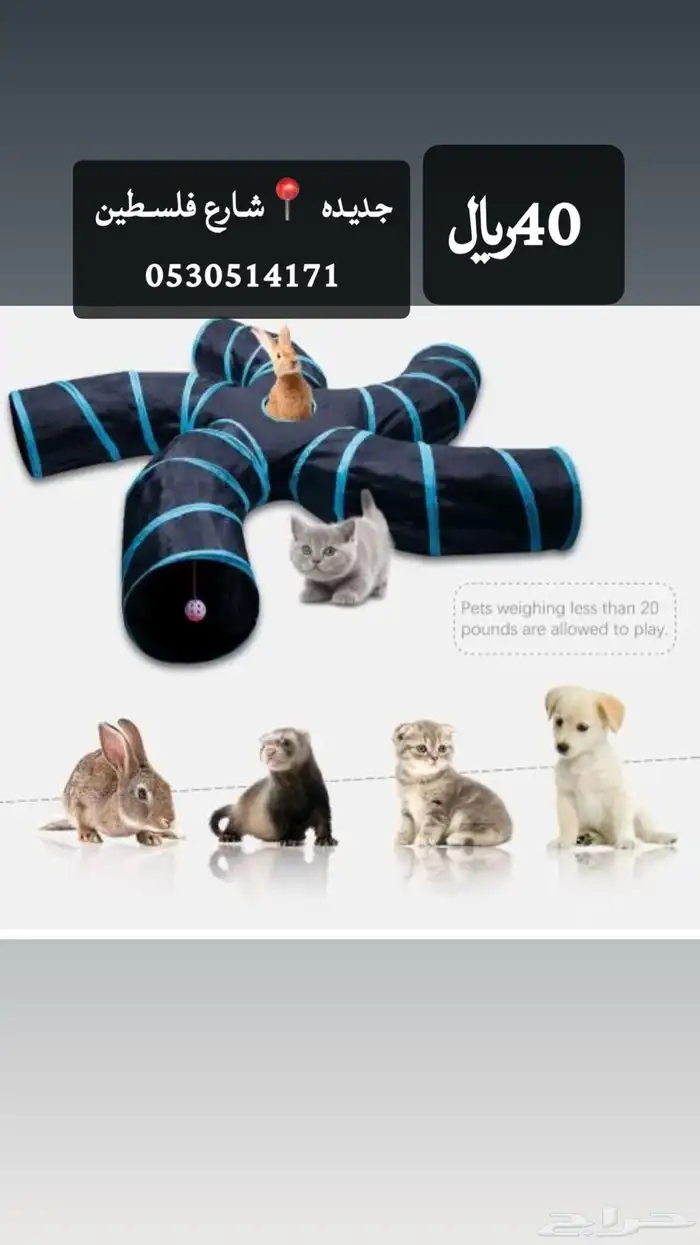 خداشه قطط جديده للبيع المستعجل120 3