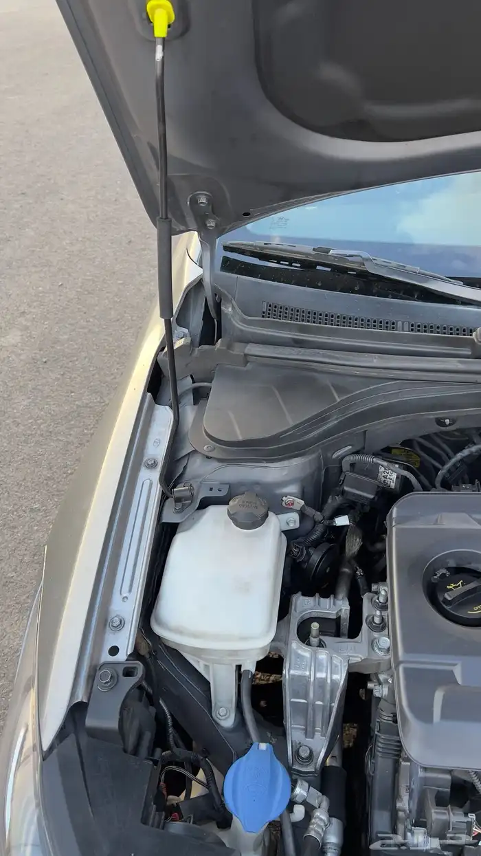 النترا ديزل2018 11