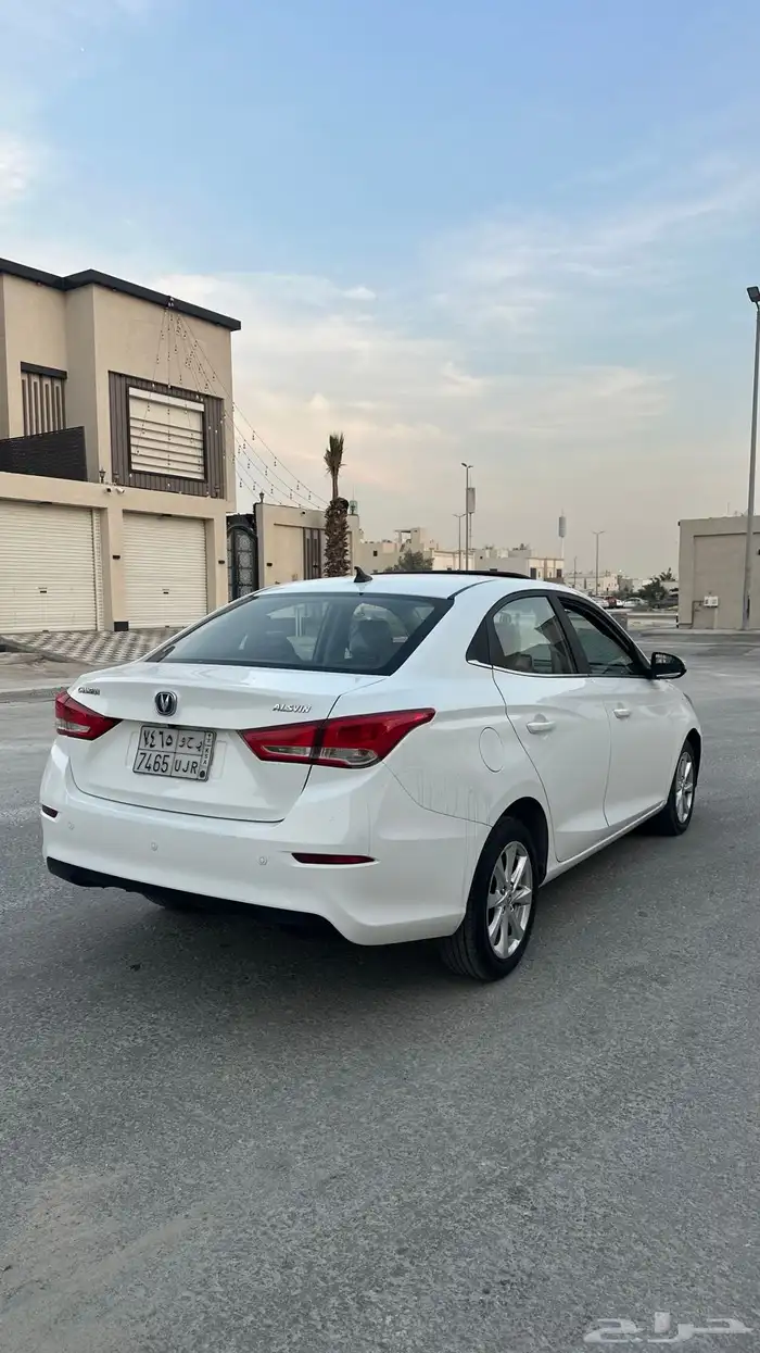 شانجان السفن 2023 5