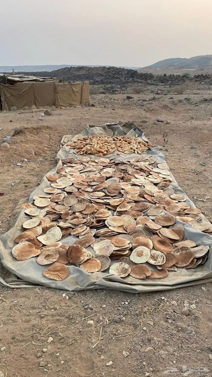 خبز ناشف مخلوط 4