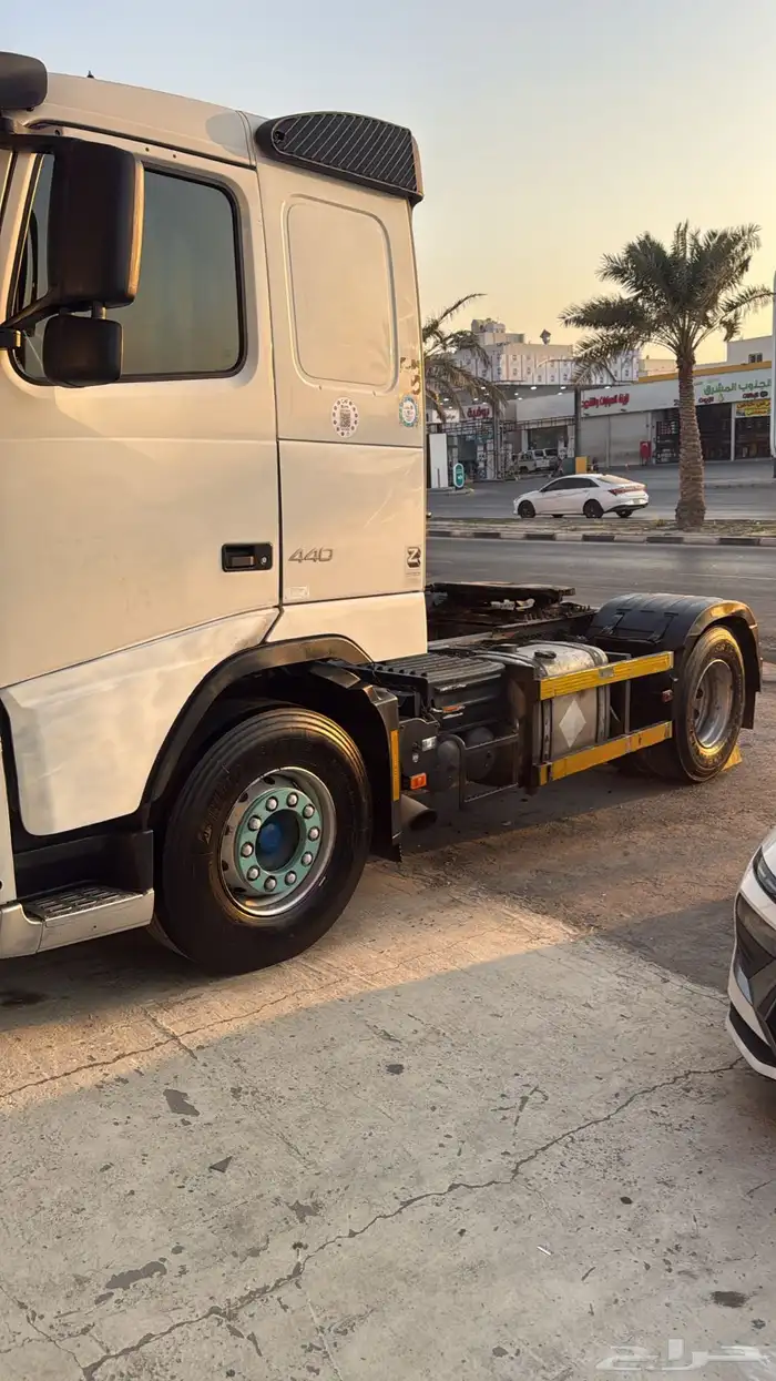 فلفو 2013 الزاهد 1