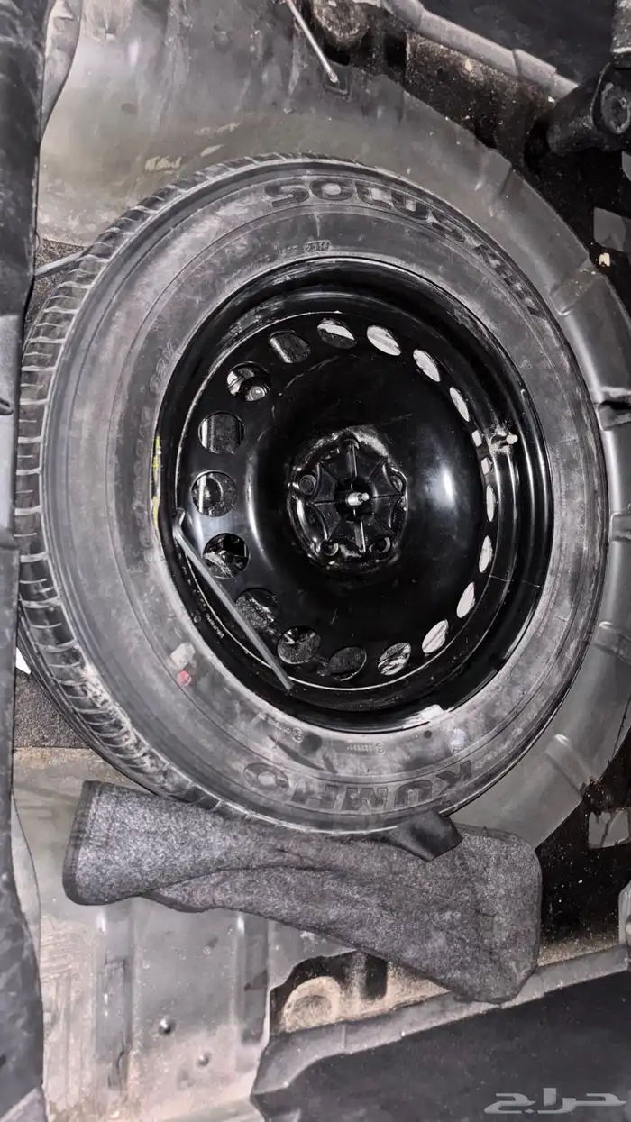 كروز 2015 بلدد 13