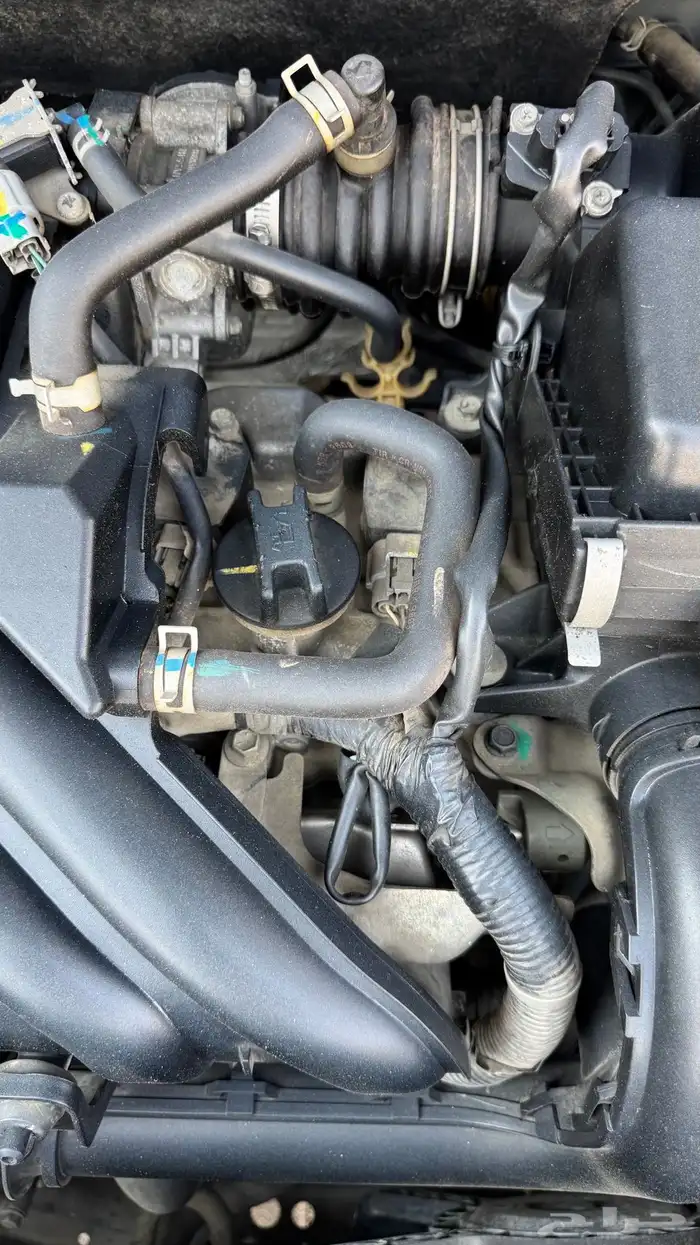 صني 2020 ستاندر 1