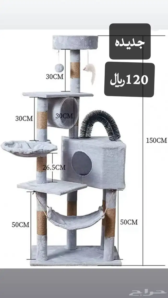 خداشه قطط جديده للبيع المستعجل120 6