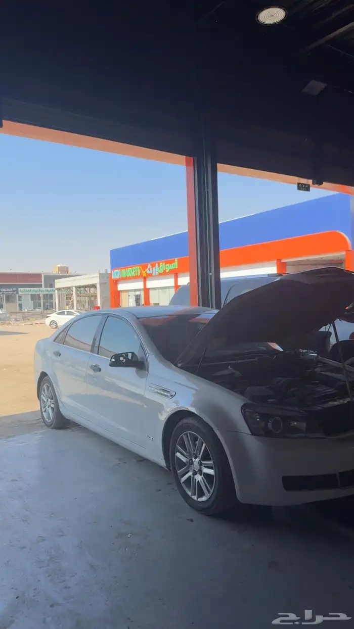 كابرس للبيع 2012 9