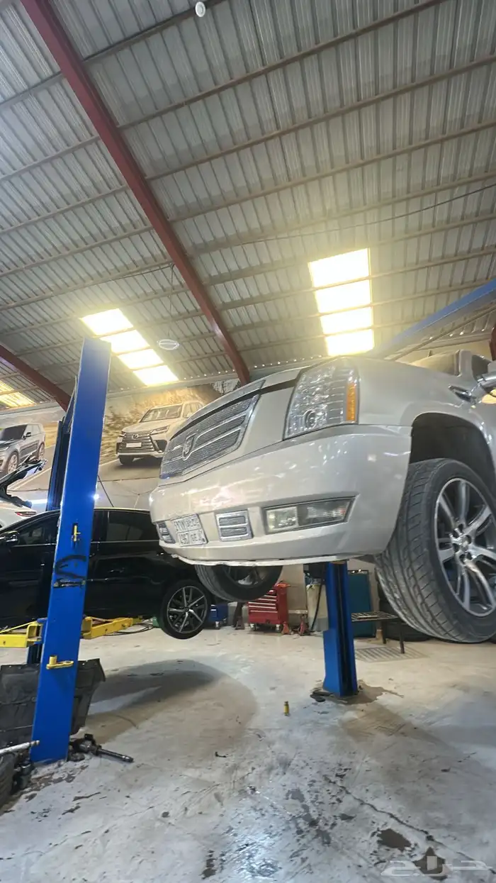 صينة السيارات الأوروبية فحص و تشخيص مجانا للسيارات الأوروبة 2