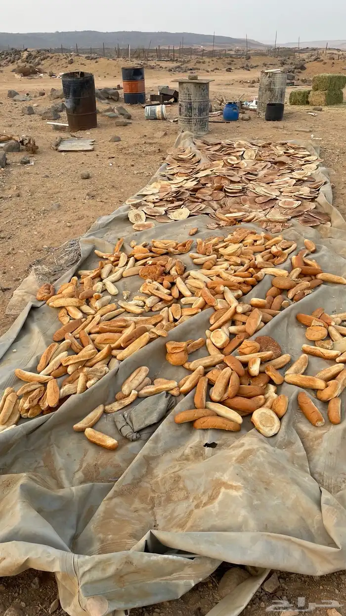 خبز ناشف مخلوط 1