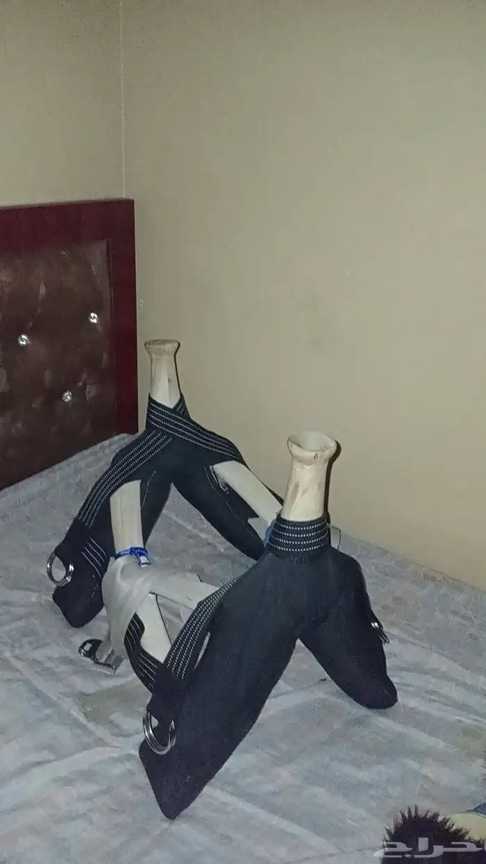 شداد وسط شرط من كل شي 0