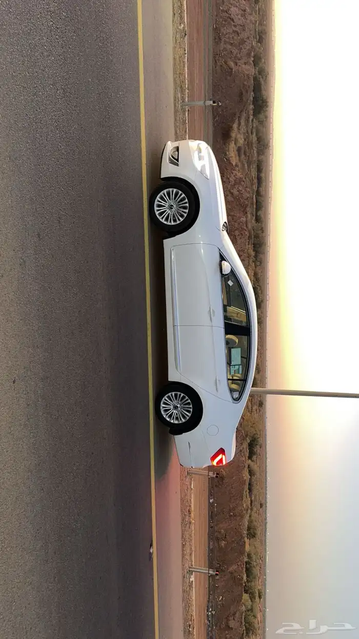 كادينزا 2014 2