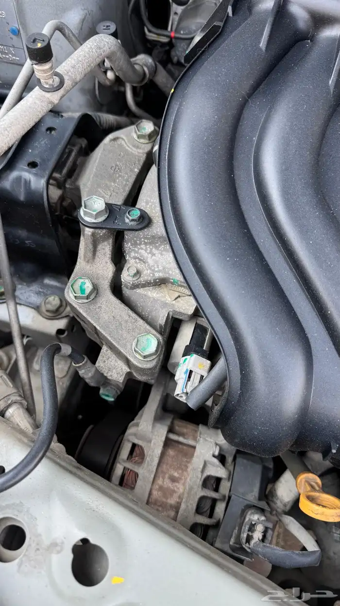 صني 2020 ستاندر 5