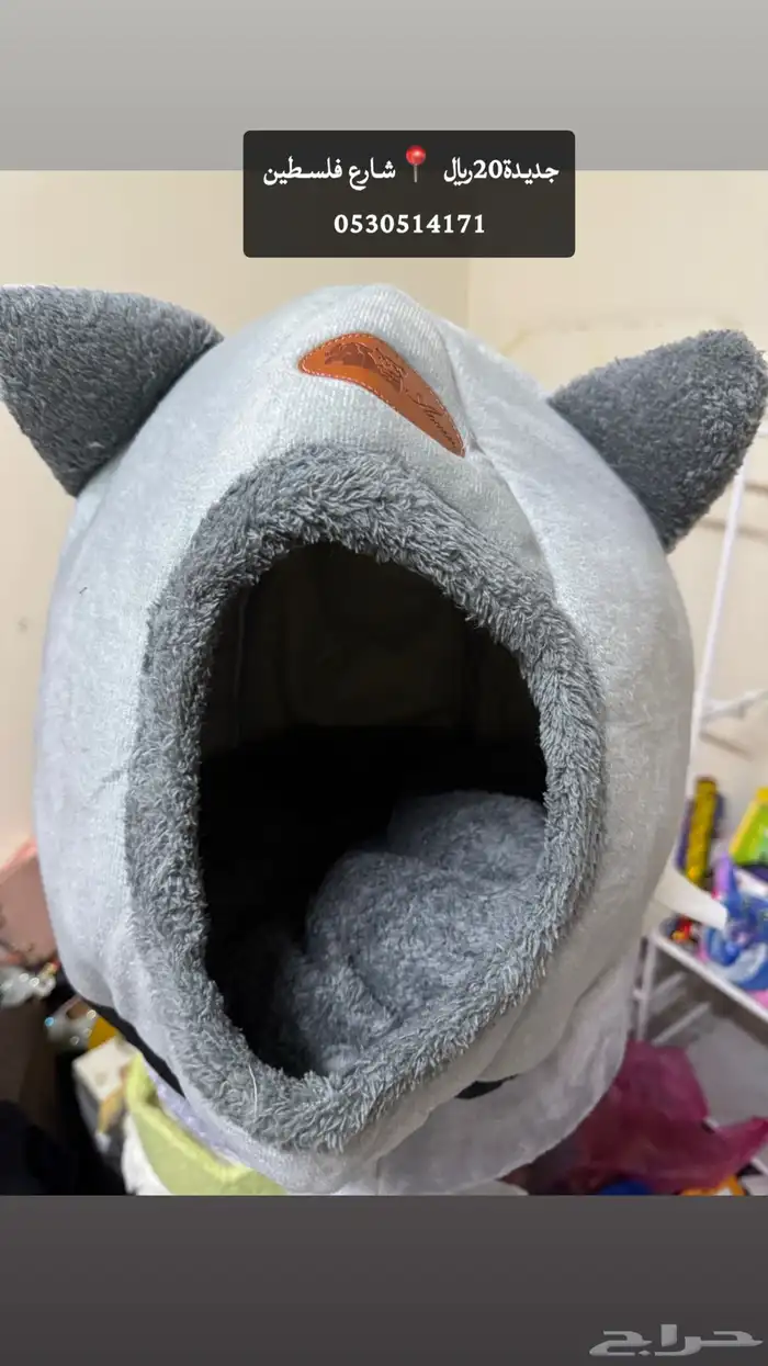 خداشه قطط جديده للبيع المستعجل120 1