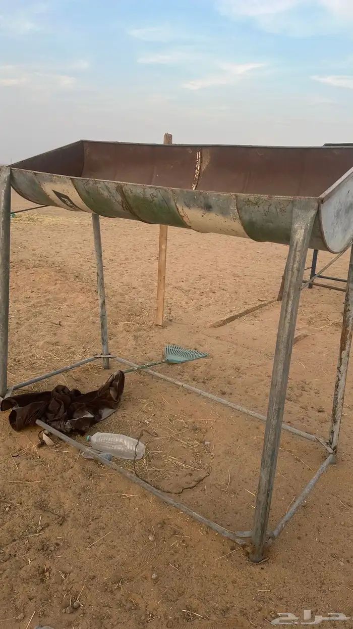 حياض طعام مرتفعه للإبل 0