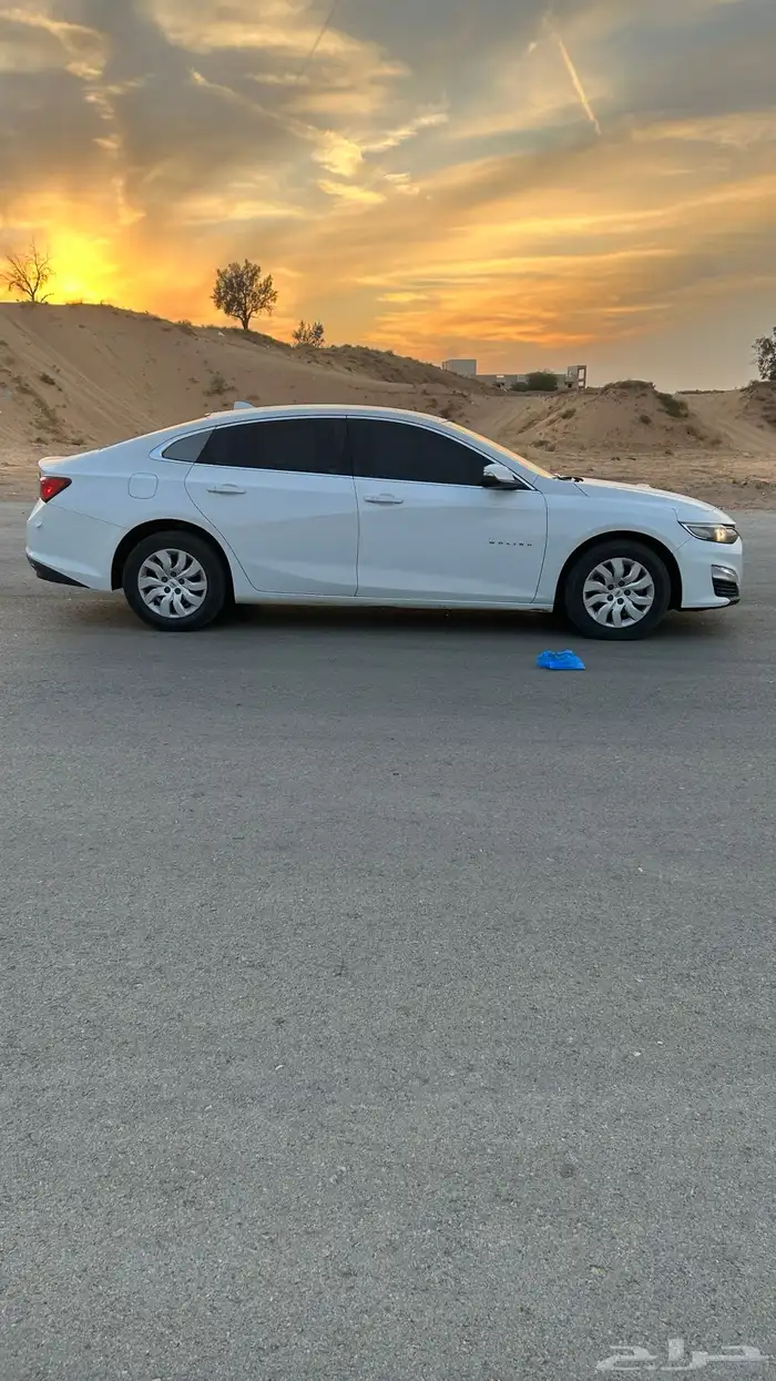 ماليبو 2019 خليجي 8