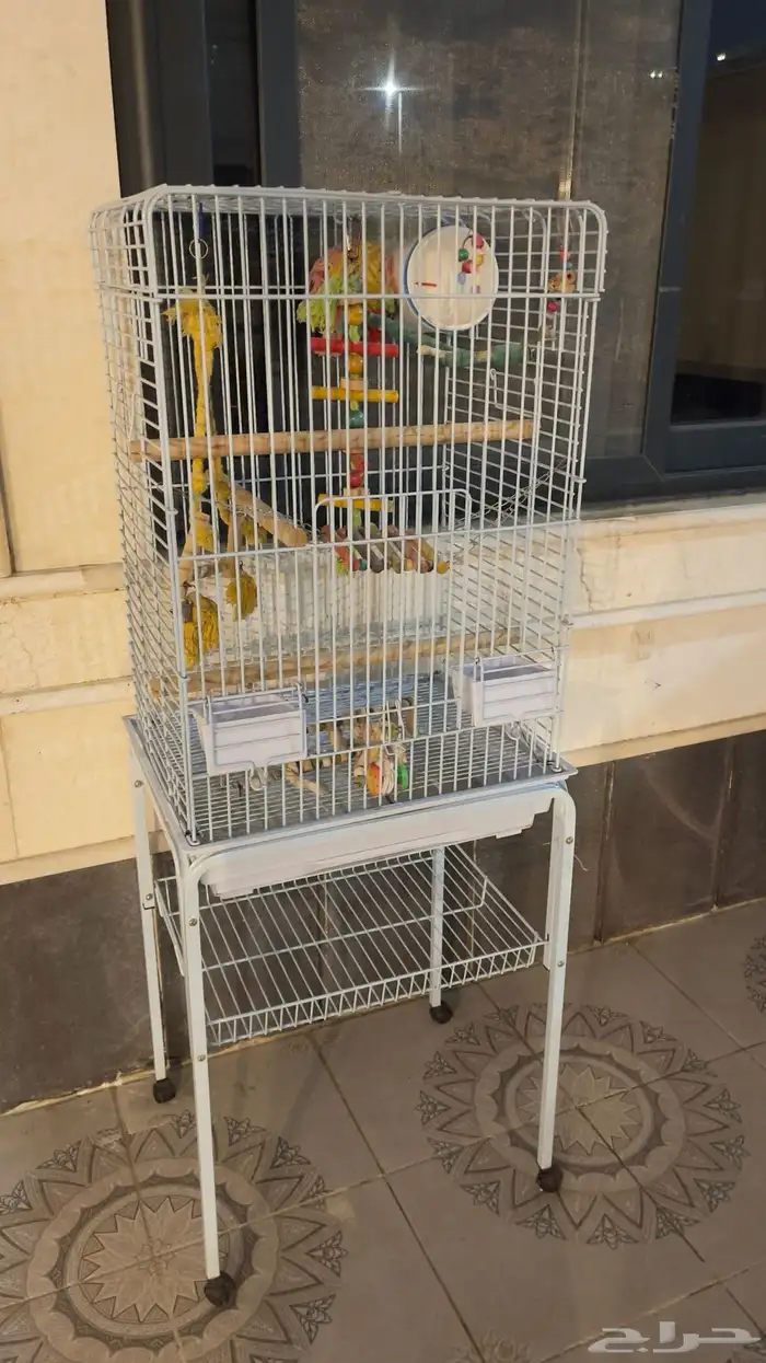 قفص طيور كبير 0