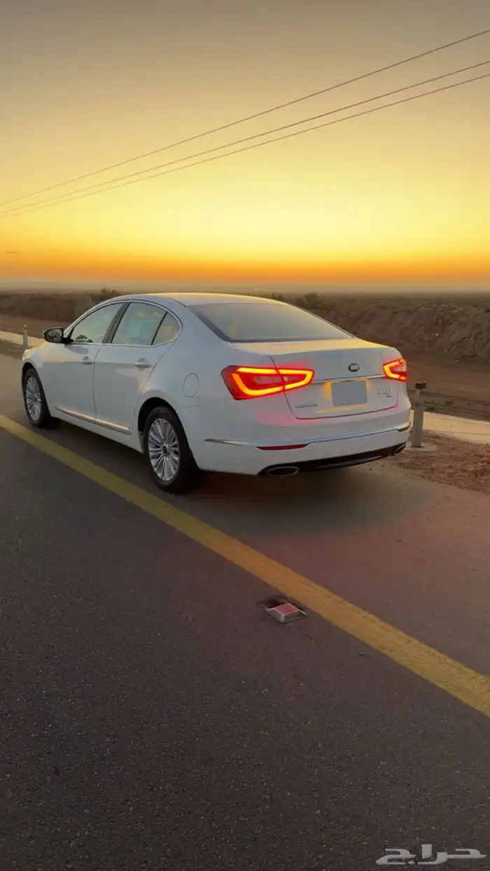 كادينزا 2014 1