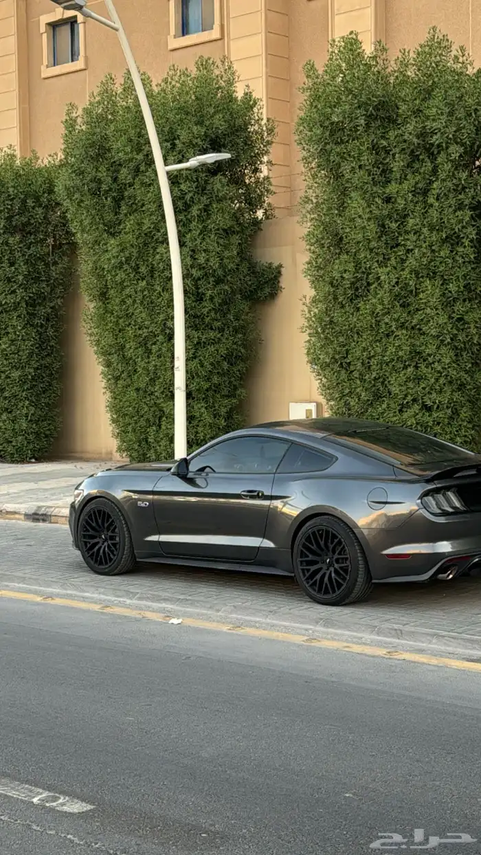 موستنق GT 2015 فل كامل اصدار ال 50 عام 4