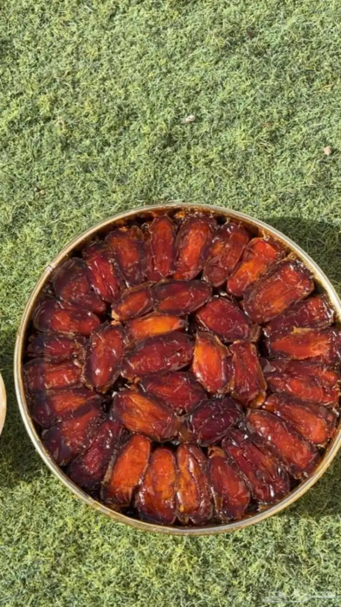 تمر صفري بيشة علب نحاس (ذهبيه) 2 كيلو وربع 0