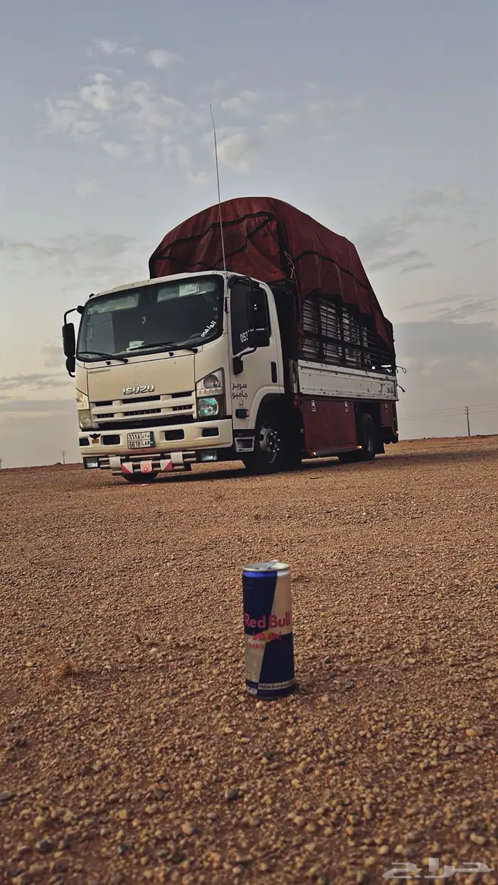 دينا طابقين الرياض 3