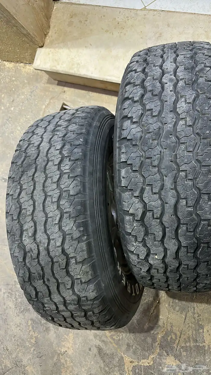 جنوط الحميد شفه عريضه 7