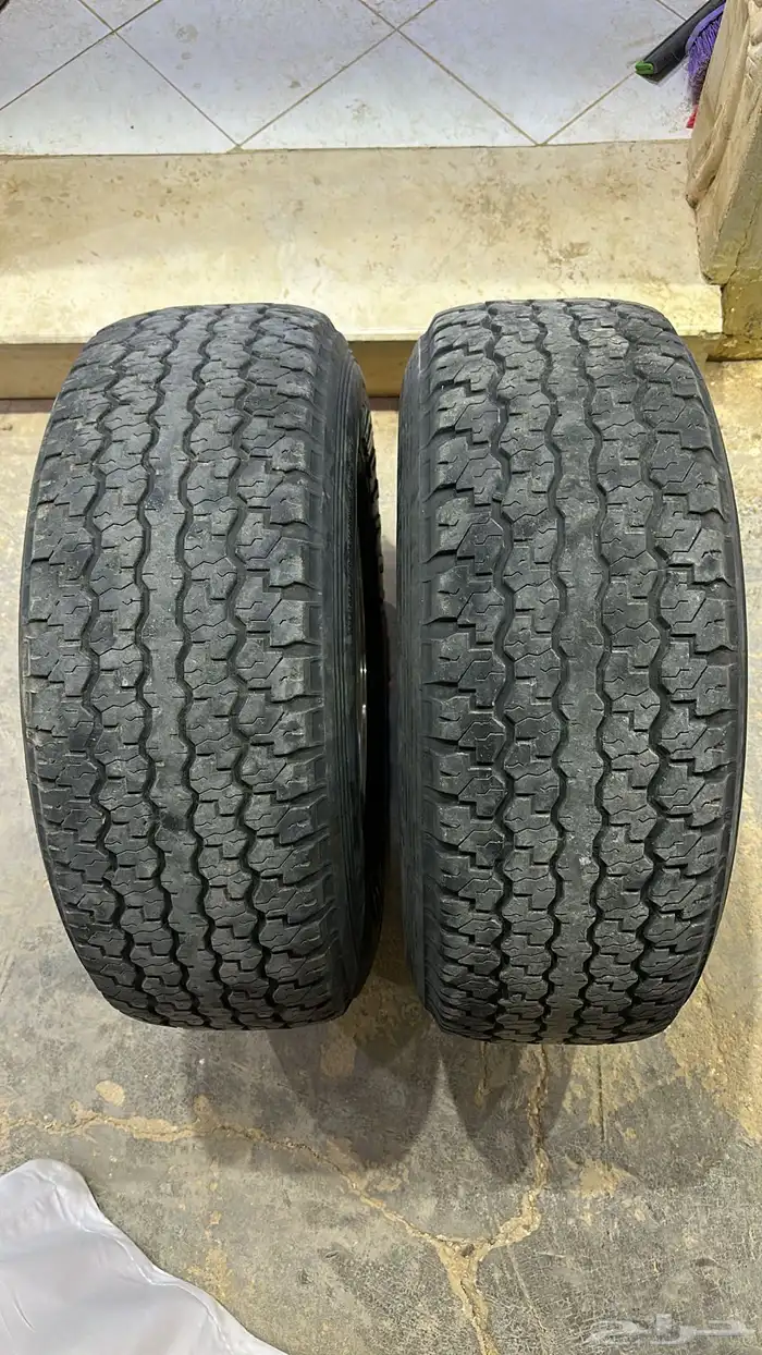 جنوط الحميد شفه عريضه 6