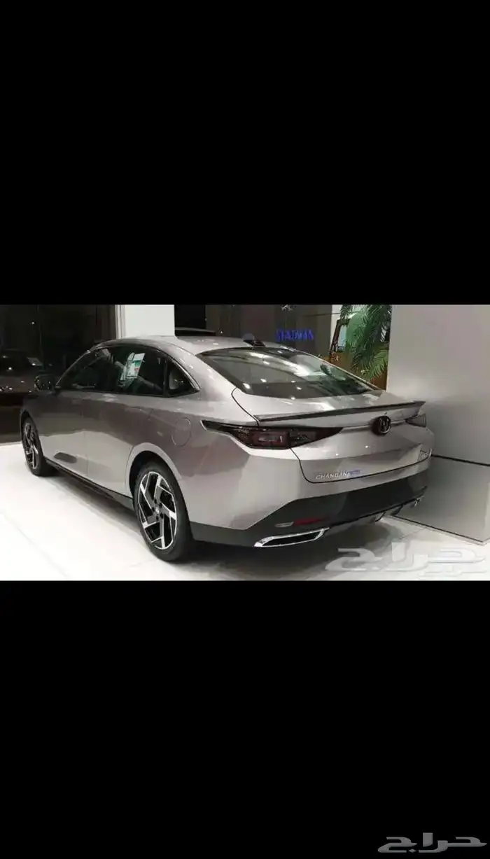 شانجان ايدو ليمتد 2025 2