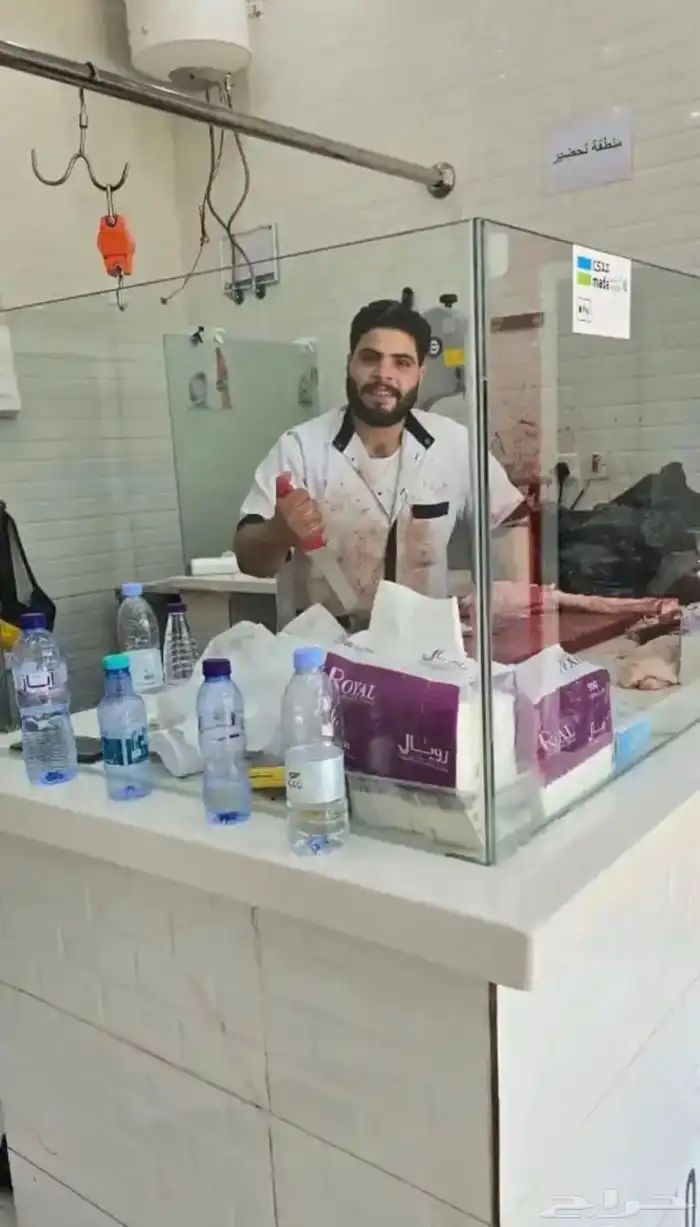 جزار خبره كافيه ف الملاحم ابحث عن عمل 0