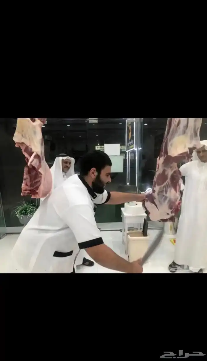 جزار خبره كافيه ف الملاحم ابحث عن عمل 3