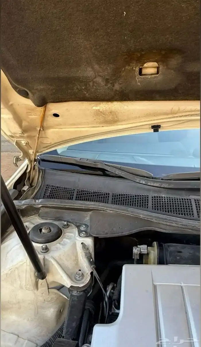 أوريون قراندي 6