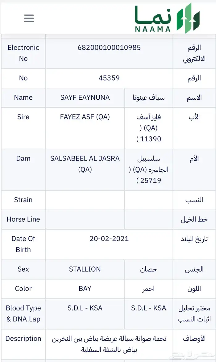 حصان واهو ورق للبيع 6