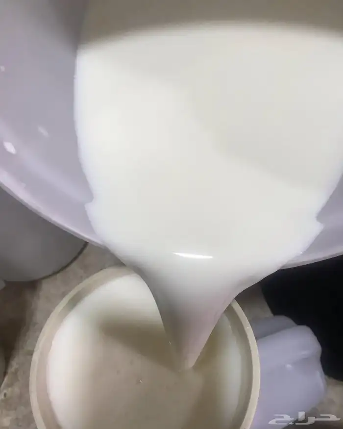 حليب طازج جملة كميات للأصحاب المشاريع 1