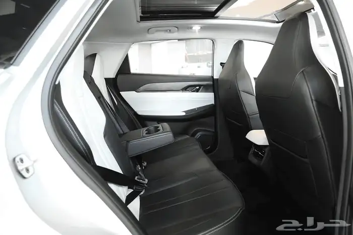 دونج فينج ميج E2 لكجري 2026 17