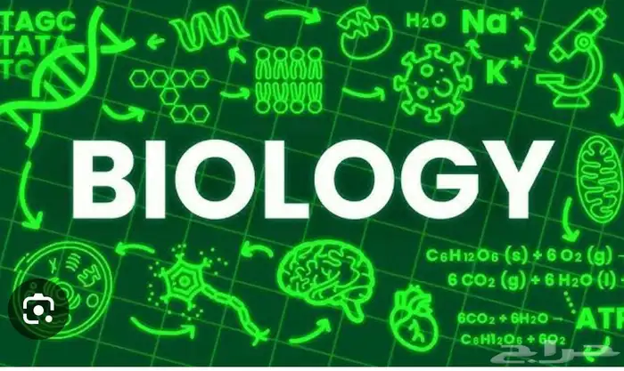 مدرس دكتوراه فى البيولوجى للسنه التحضيريه 0