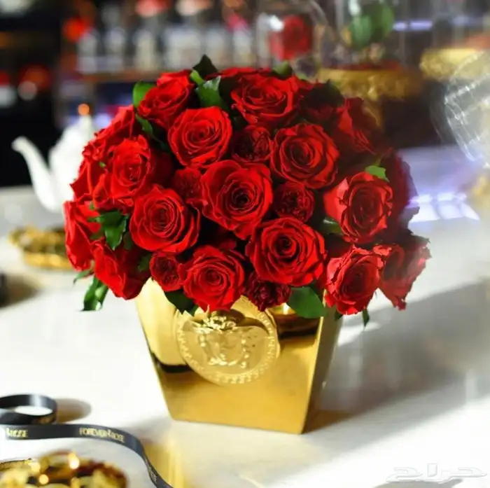 بضاعه ورود واكسسوارات 58