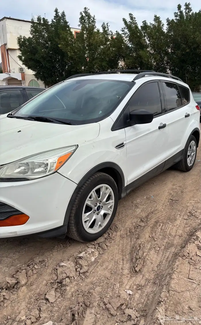 فورد اسكيب 2014 للبيع 5